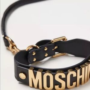 hm moschino dog